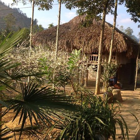 Sa House Bac Ha 아파트 외부 사진