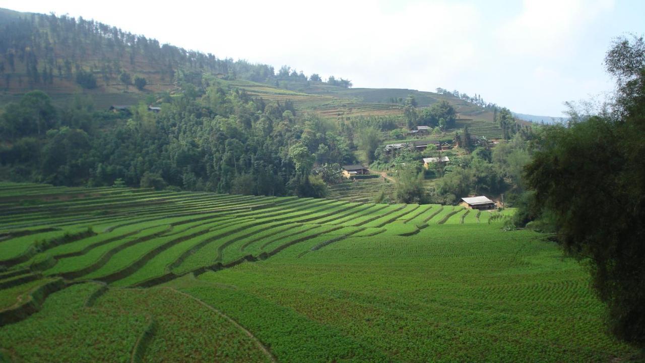 Sa House Bac Ha 아파트 외부 사진