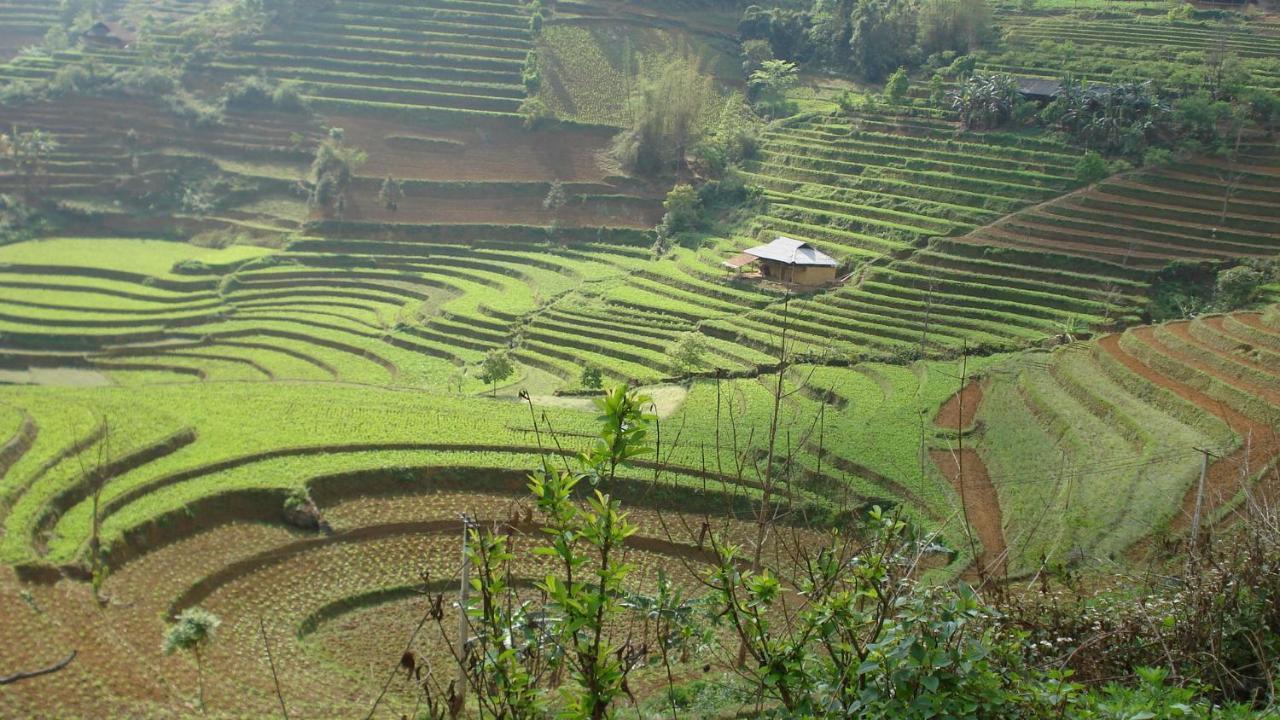 Sa House Bac Ha 아파트 외부 사진