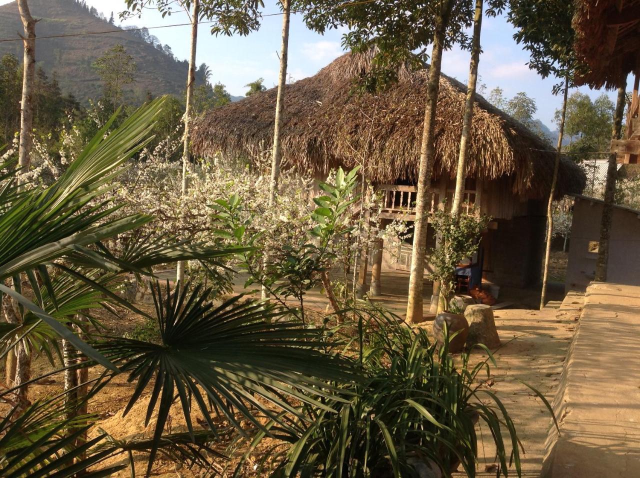 Sa House Bac Ha 아파트 외부 사진