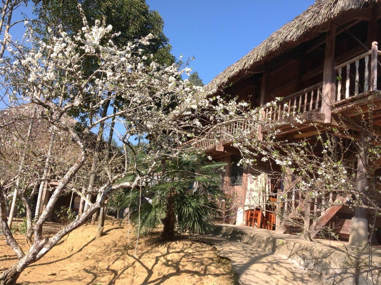 Sa House Bac Ha 아파트 외부 사진