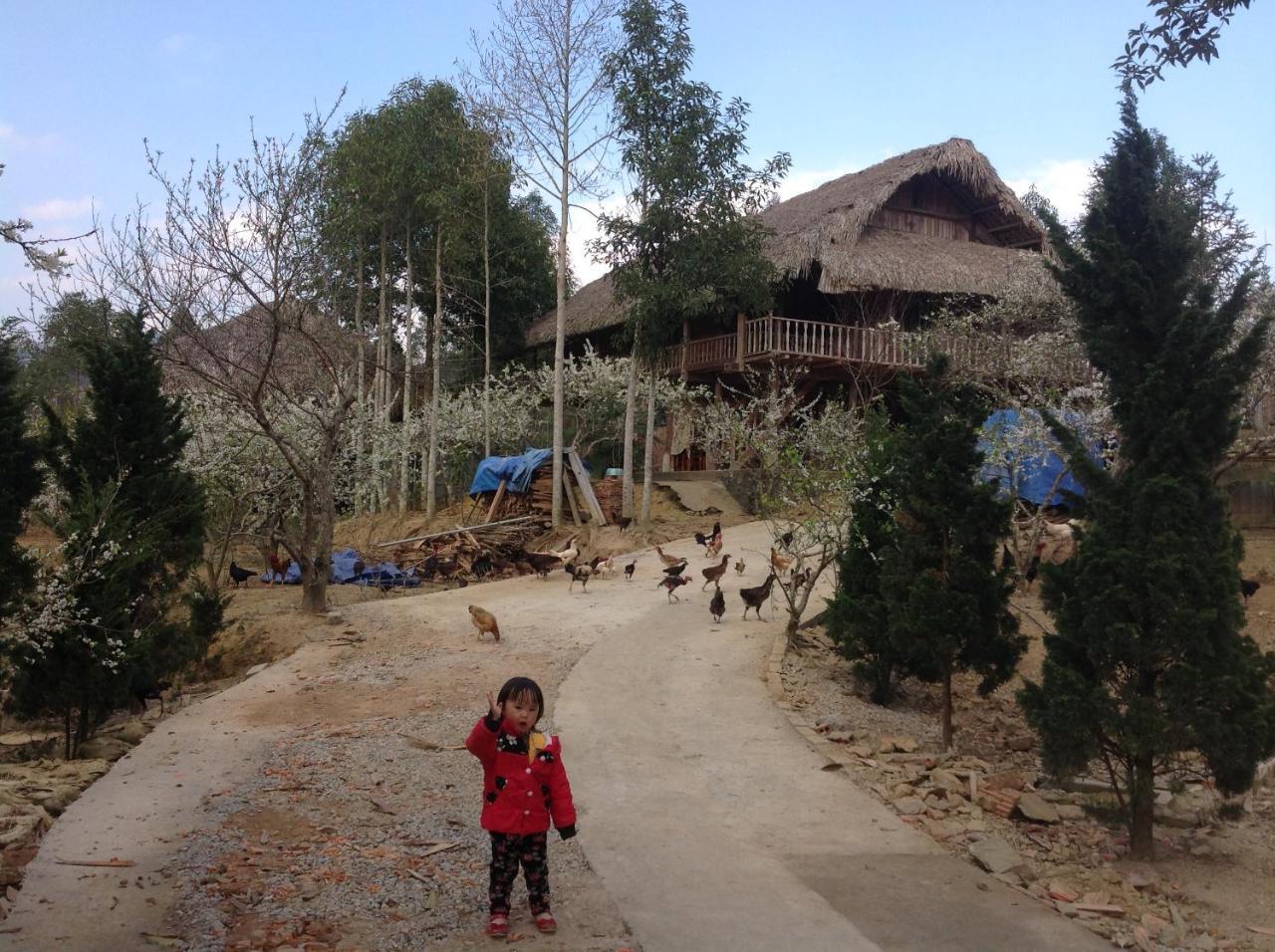 Sa House Bac Ha 아파트 외부 사진