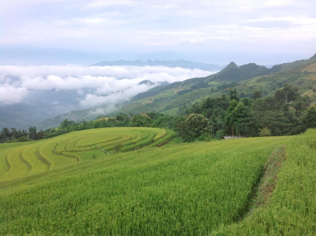 Sa House Bac Ha 아파트 외부 사진
