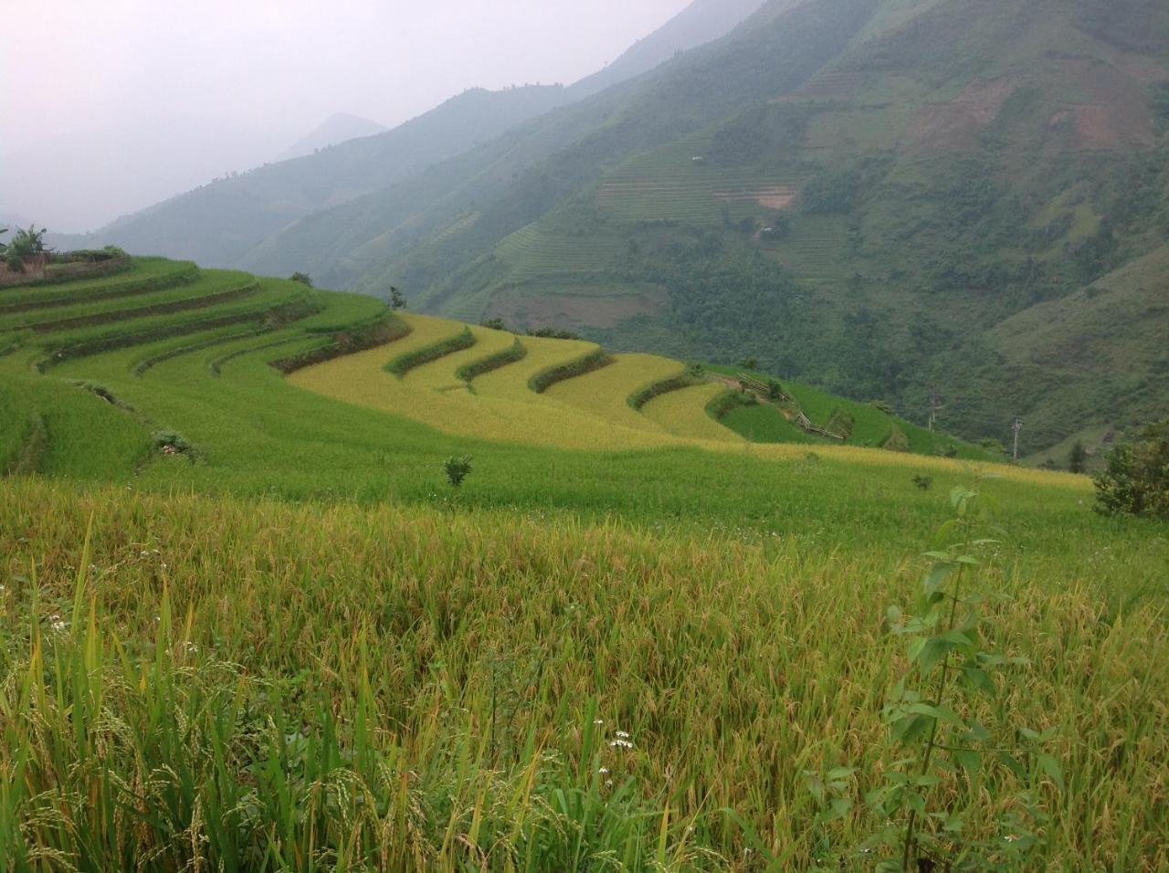 Sa House Bac Ha 아파트 외부 사진