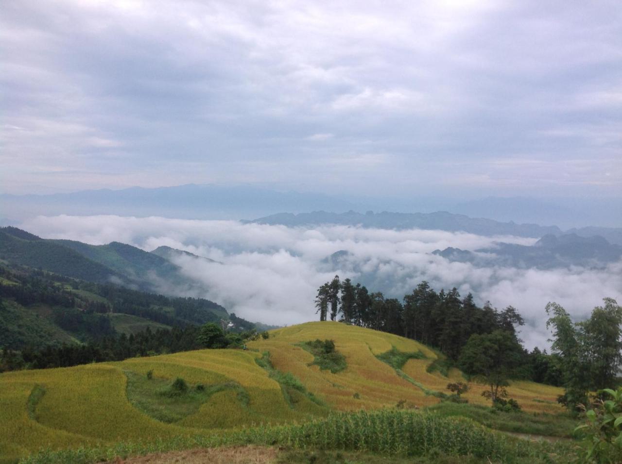 Sa House Bac Ha 아파트 외부 사진