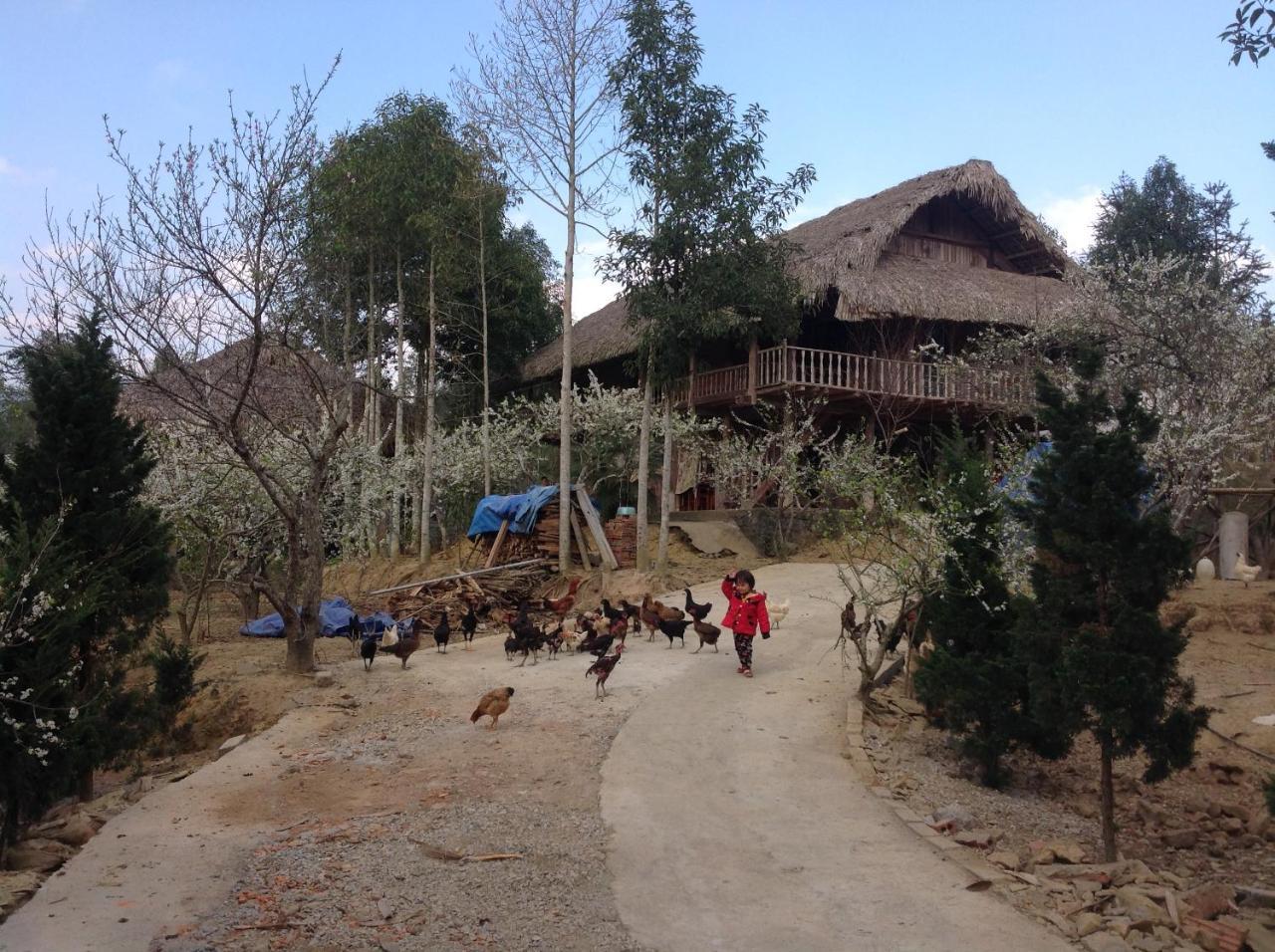 Sa House Bac Ha 아파트 외부 사진