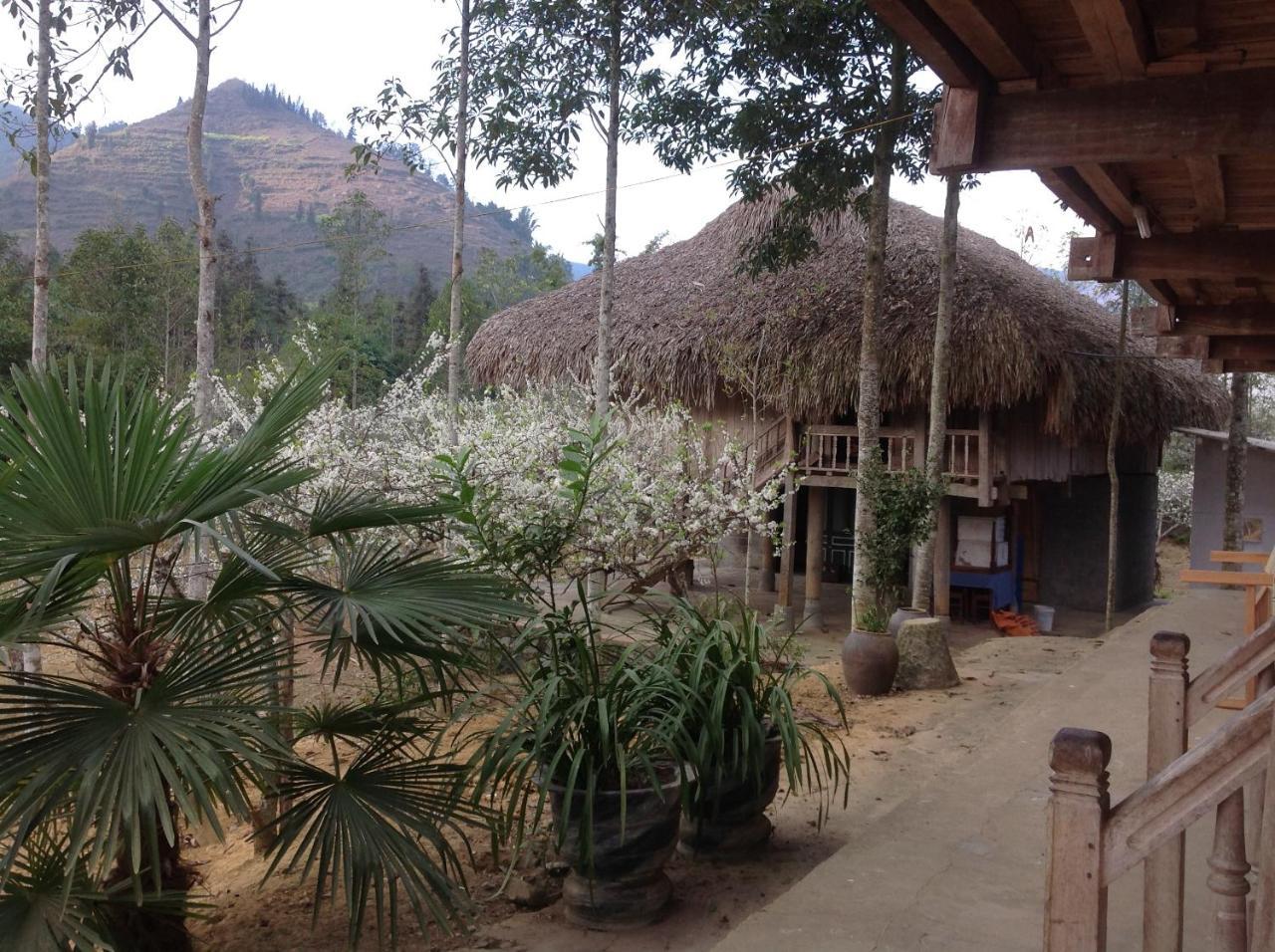 Sa House Bac Ha 아파트 외부 사진