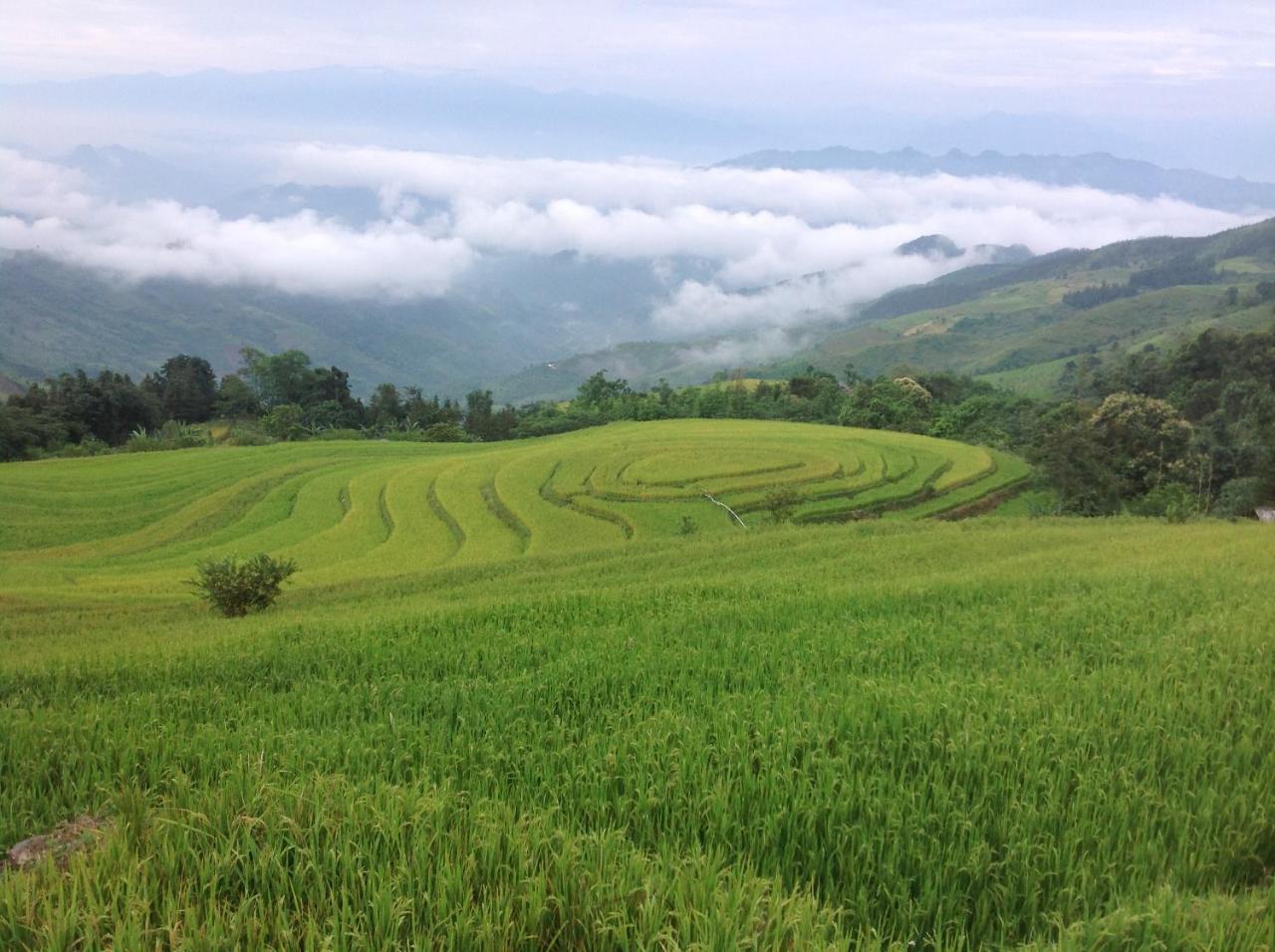 Sa House Bac Ha 아파트 외부 사진