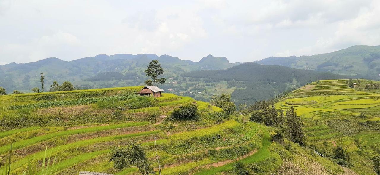 Sa House Bac Ha 아파트 외부 사진