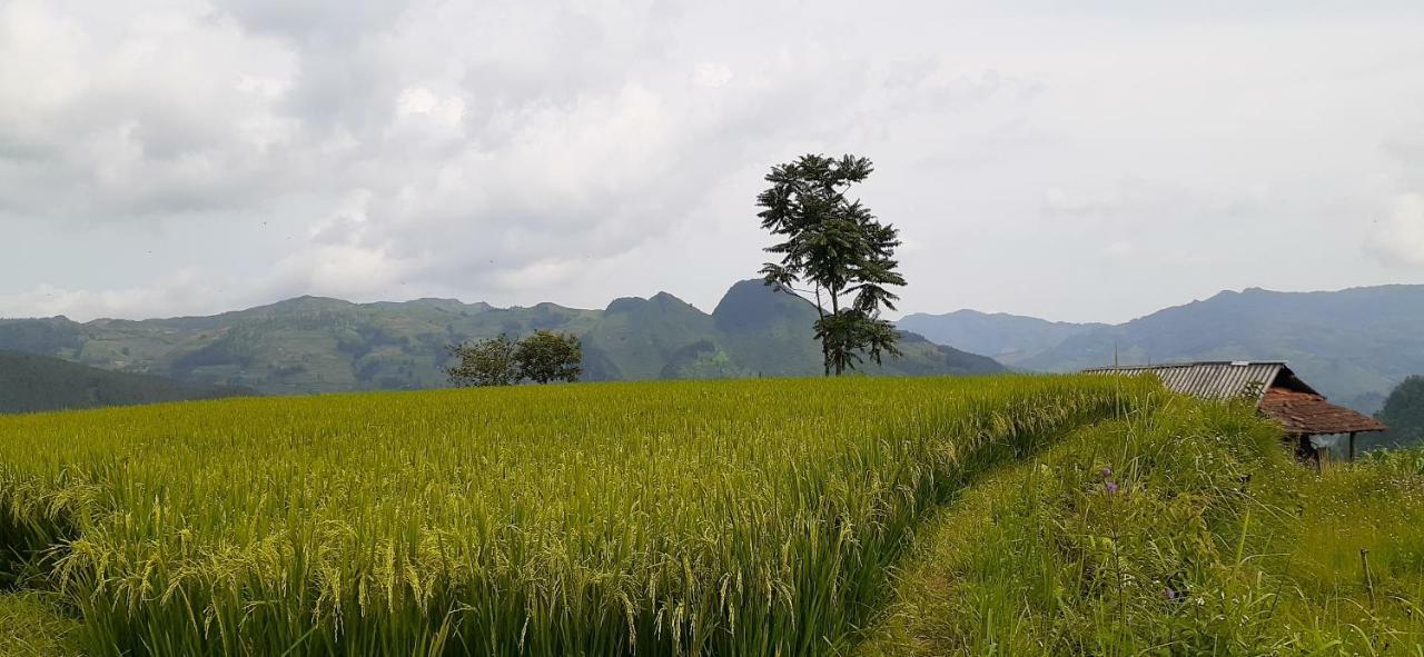 Sa House Bac Ha 아파트 외부 사진